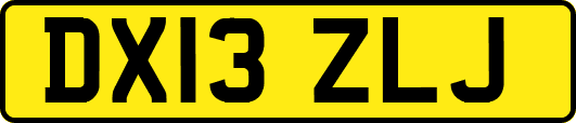 DX13ZLJ