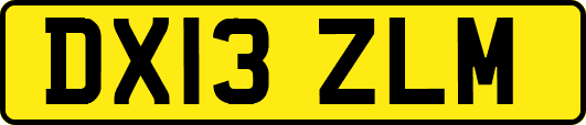 DX13ZLM