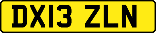 DX13ZLN