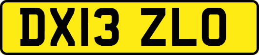 DX13ZLO