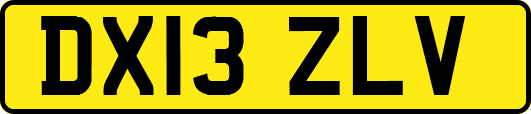 DX13ZLV