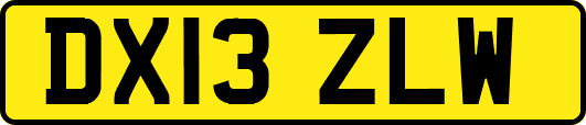 DX13ZLW