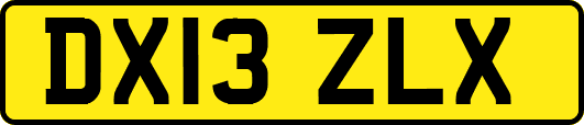 DX13ZLX