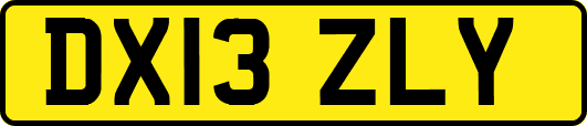 DX13ZLY