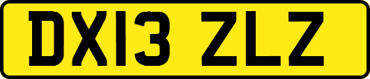 DX13ZLZ