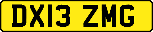 DX13ZMG