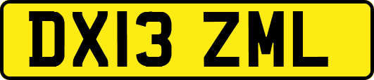 DX13ZML