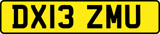 DX13ZMU
