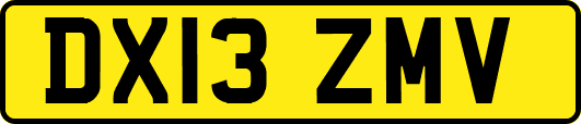 DX13ZMV