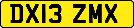 DX13ZMX