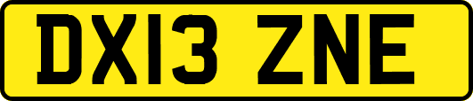 DX13ZNE
