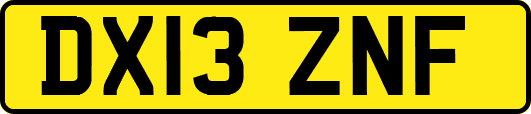 DX13ZNF
