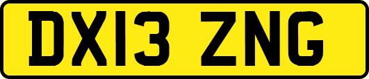 DX13ZNG