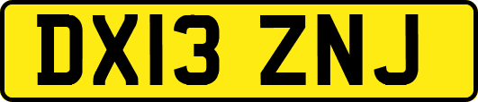 DX13ZNJ