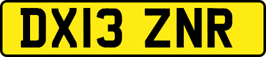 DX13ZNR