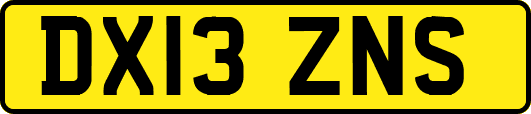 DX13ZNS
