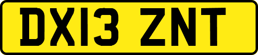 DX13ZNT