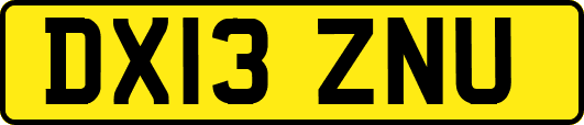 DX13ZNU