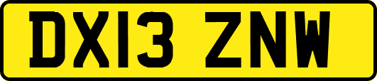 DX13ZNW