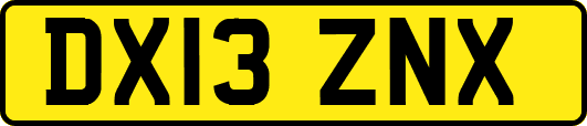 DX13ZNX