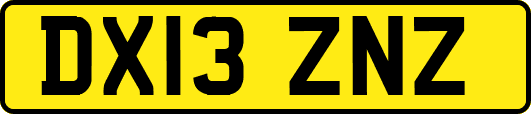 DX13ZNZ