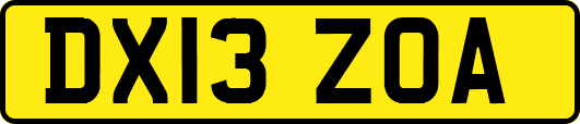 DX13ZOA