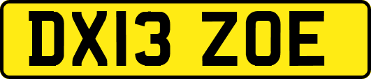 DX13ZOE