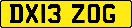 DX13ZOG