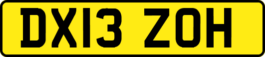 DX13ZOH
