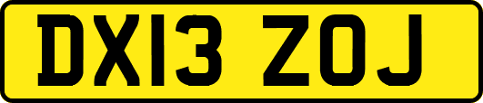 DX13ZOJ