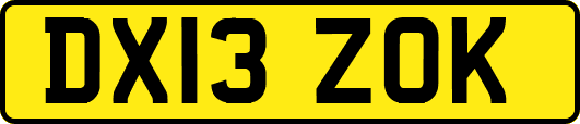 DX13ZOK