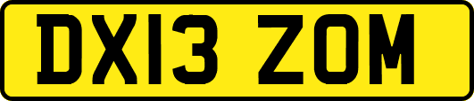 DX13ZOM