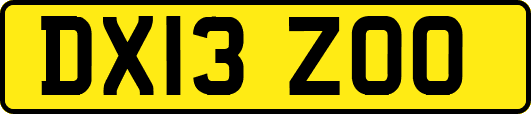 DX13ZOO