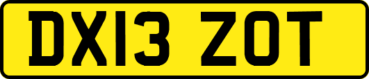 DX13ZOT