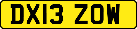 DX13ZOW