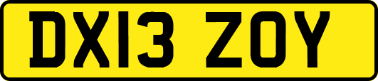 DX13ZOY