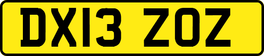DX13ZOZ