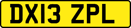 DX13ZPL