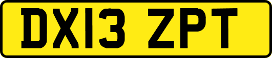 DX13ZPT