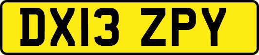 DX13ZPY