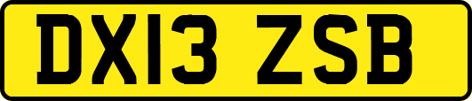 DX13ZSB
