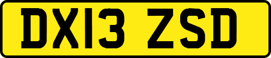 DX13ZSD
