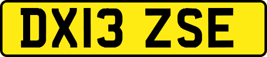 DX13ZSE