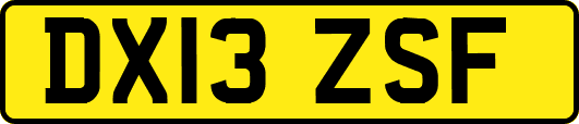DX13ZSF