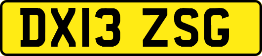 DX13ZSG