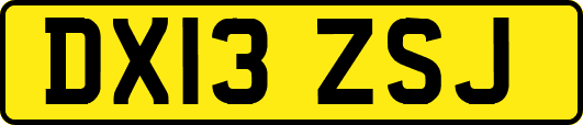 DX13ZSJ