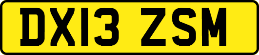 DX13ZSM