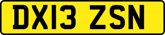 DX13ZSN