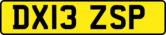 DX13ZSP