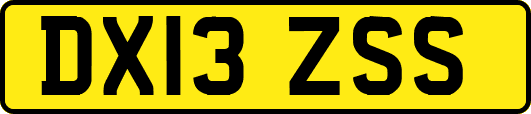 DX13ZSS